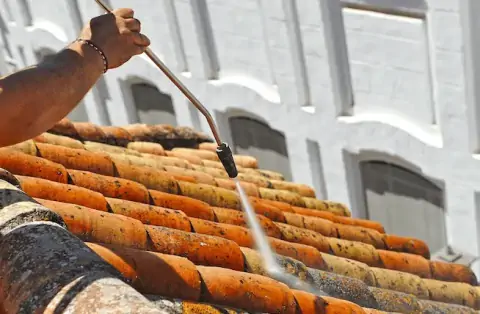 Nettoyage de toitures - Lye